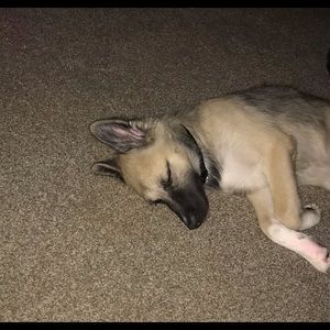 Meet your Posher, Julie